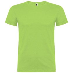 Obrázky: Svetlozelené pánske  tričko Beagle M