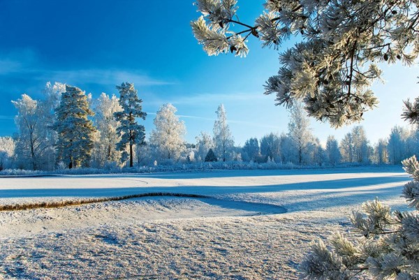 Obrázky: GOLF, nástenný kalendár 485x340 mm, Obrázok 14